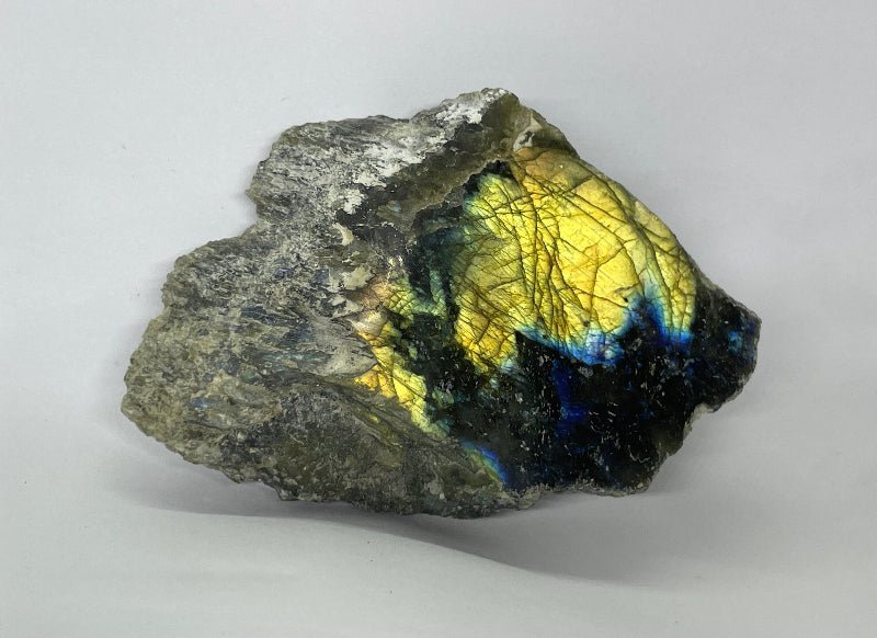 Labradorit Scheibe mit kräftigem Goldschimmer