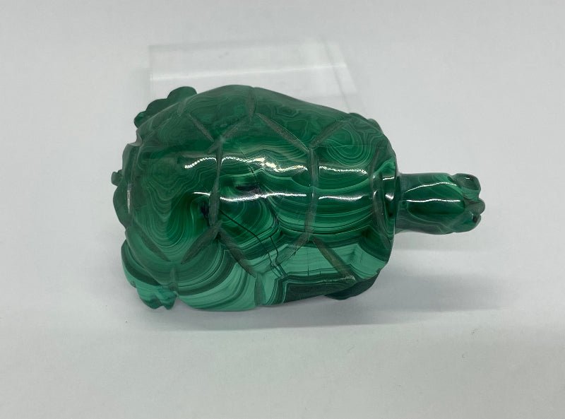 Dekorative Malachit Schildkröte – Sammlerstück für Edelsteinliebhaber