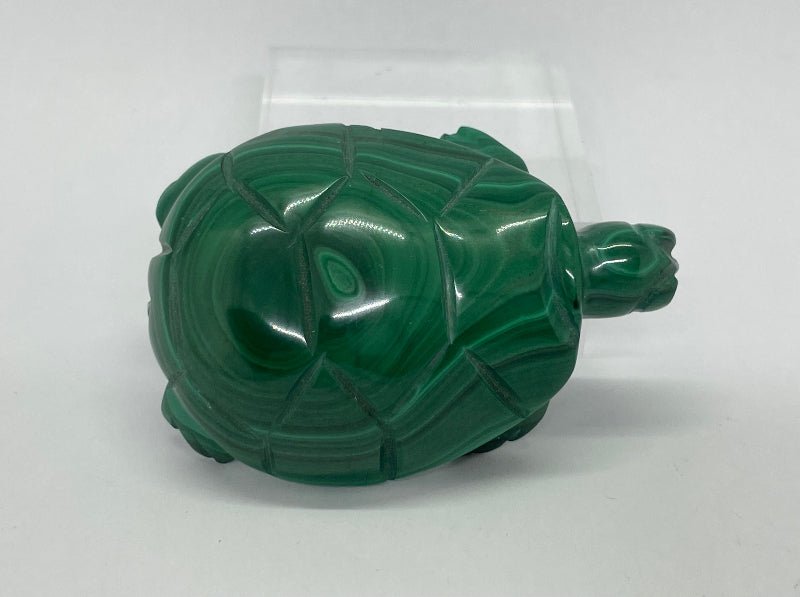 Dekorative Malachit Schildkröte – Edelstein Sammlerstück