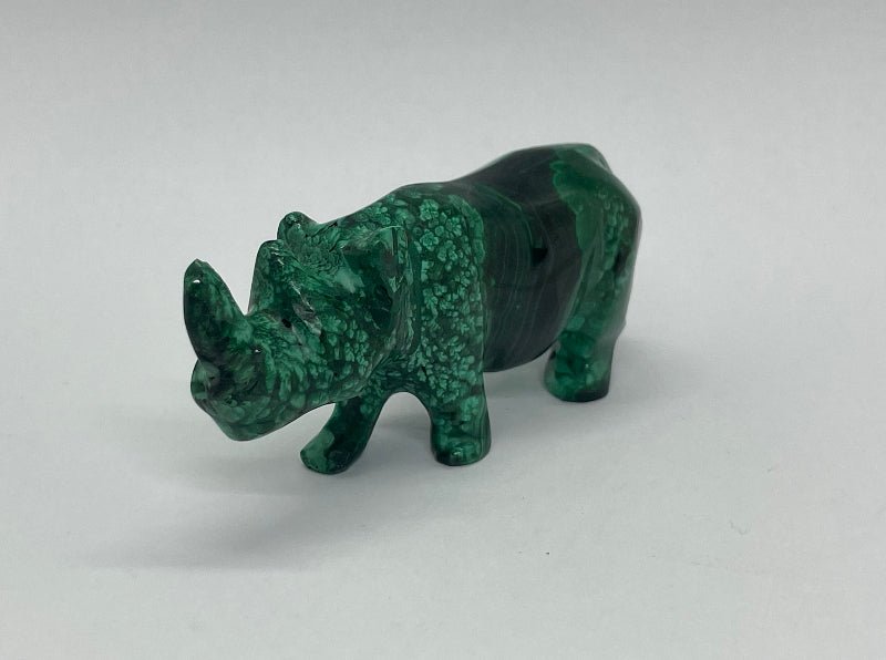 Malachit-Nashorn, seitliche Ansicht, mit markanten hell-dunkel Farbverläufen.