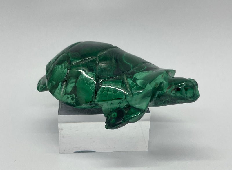 Detailansicht der handgeschnitzten Malachit Schildkröte