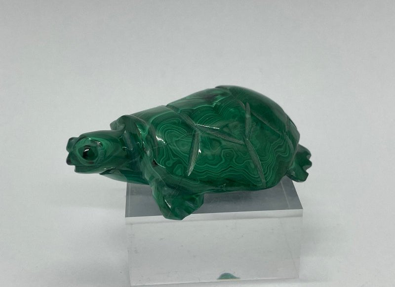 Detailaufnahme handgeschnitzter Malachit Schildkröte