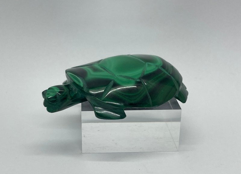 Detailaufnahme handgeschnitzte Schildkröte aus Malachit