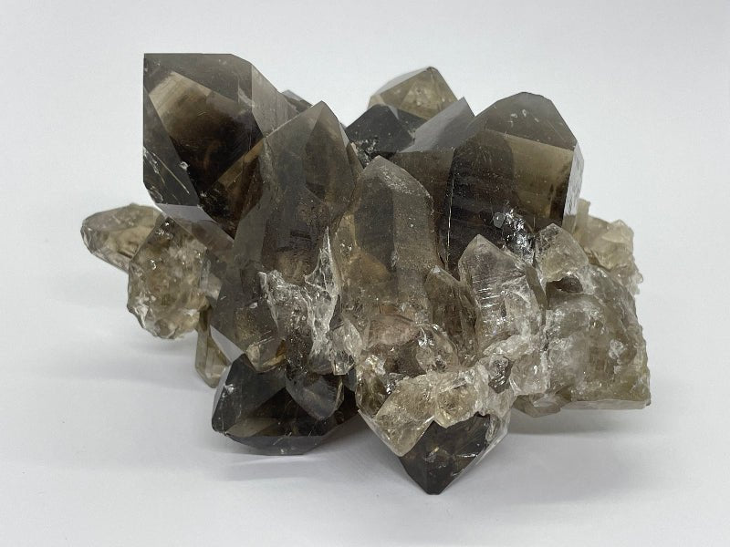 Rauchquarz mit Golden Rutil - Mineralien - Kiste