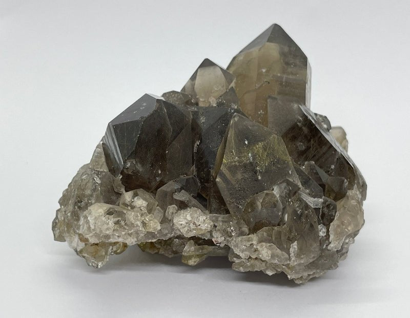 Rauchquarz mit Golden Rutil - Mineralien - Kiste