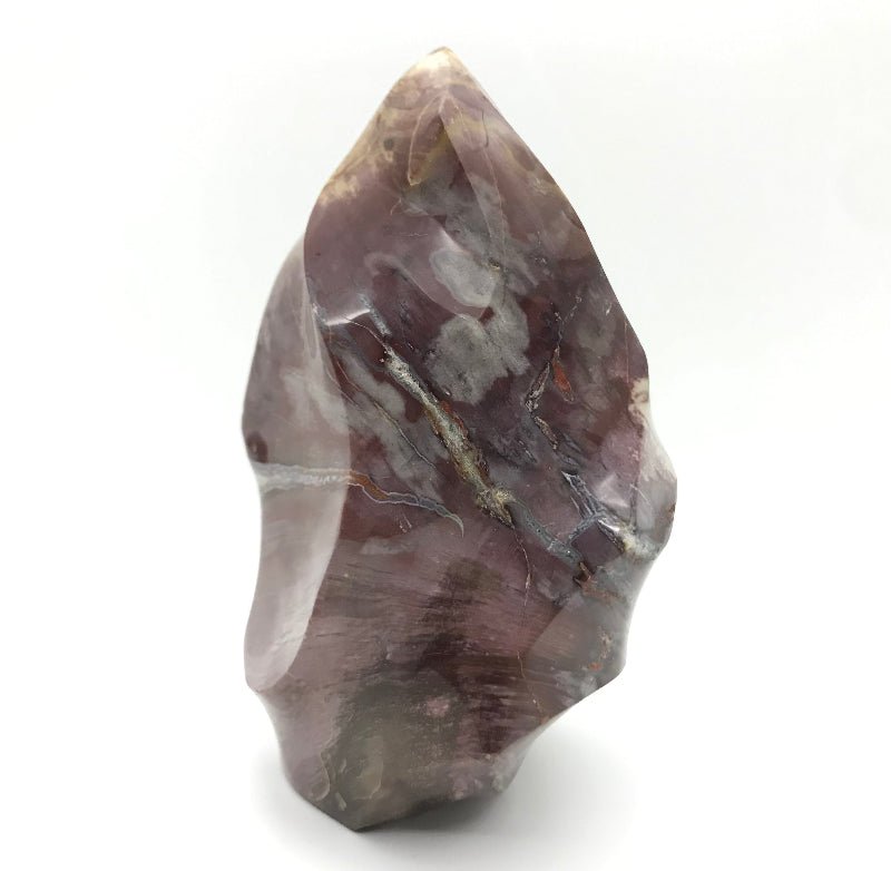 Versteinertes Holz "Freiform" - Mineralien - Kiste