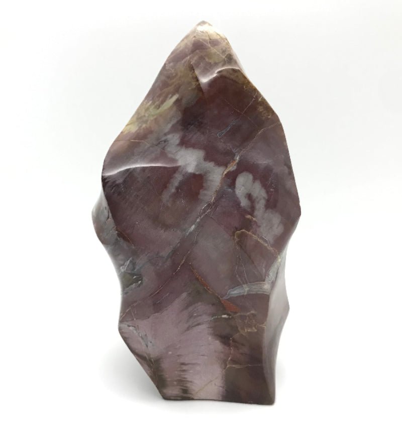 Versteinertes Holz "Freiform" - Mineralien - Kiste
