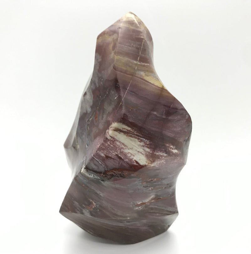 Versteinertes Holz "Freiform" - Mineralien - Kiste