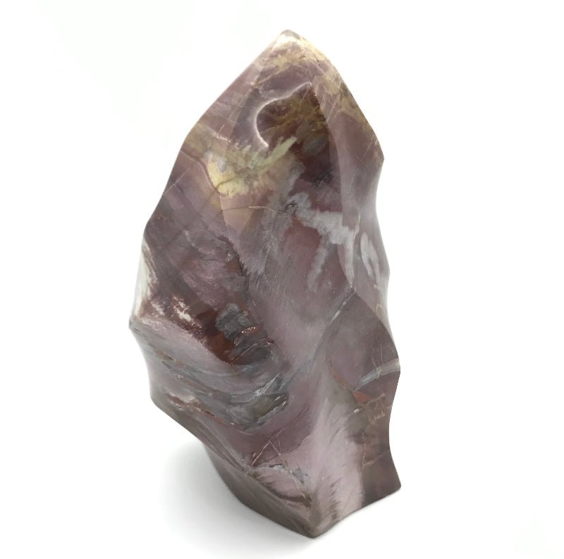 Versteinertes Holz "Freiform" - Mineralien - Kiste
