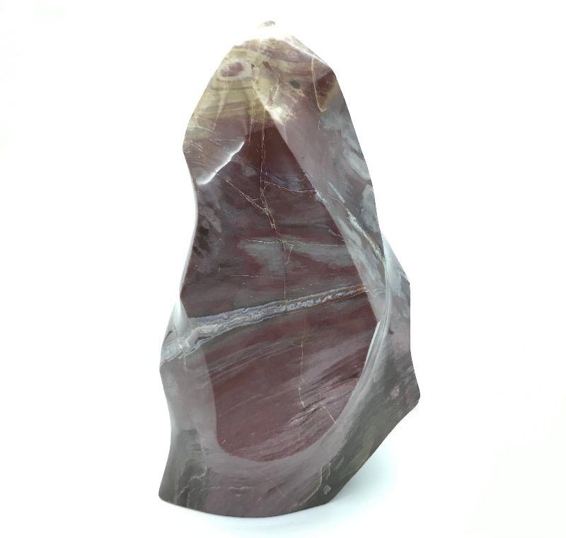 Versteinertes Holz "Freiform" - Mineralien - Kiste