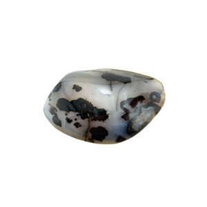 Dendritenachat Handschmeichler Edelstein mit organischen Strukturen